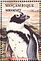 African Penguin Spheniscus demersus  2002 Seabirds  MS