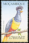 Great Blue Turaco Corythaeola cristata  2002 Birds of Africa 