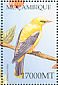 Eurasian Golden Oriole  Oriolus oriolus