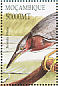 Striated Heron Butorides striata  2002 Birds of Africa  MS MS MS