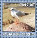 Black-headed Gull Chroicocephalus ridibundus  2002 Seabirds Sheet