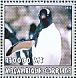 Magellanic Penguin Spheniscus magellanicus  2002 Penguins  MS MS