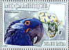 Hyacinth Macaw Anodorhynchus hyacinthinus  2007 Parrots Sheet