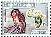 African Wood Owl Strix woodfordii  2007 Owls Sheet