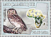 Little Owl Athene noctua  2007 Owls Sheet