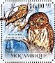 Pearl-spotted Owlet Glaucidium perlatum  2011 Owls Sheet