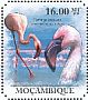 Lesser Flamingo Phoeniconaias minor  2011 Flamingos Sheet