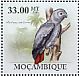 Grey Parrot Psittacus erithacus  2010 Parrots 6v sheet