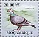 Rock Dove Columba livia  2010 Pigeons Sheet