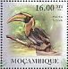 Great Hornbill Buceros bicornis