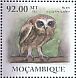 Morepork  Ninox novaeseelandiae