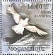 Snow Petrel Pagodroma nivea  2011 Antarctic treaty 6v sheet