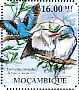 Woodland Kingfisher Halcyon senegalensis  2011 Kingfishers Sheet