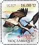 Black Stork Ciconia nigra  2011 Storks Sheet