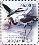 Saddle-billed Stork Ephippiorhynchus senegalensis  2011 Storks Sheet