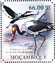 Saddle-billed Stork Ephippiorhynchus senegalensis