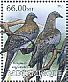 Passenger Pigeon Ectopistes migratorius †  2012 Extinct birds Sheet