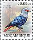 Mauritius Blue Pigeon Alectroenas nitidissimus †