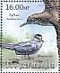 Balearic Shearwater Puffinus mauretanicus  2012 Endangered seabirds Sheet