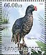 Alagoas Curassow Mitu mitu