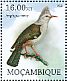 Hoopoe Starling Fregilupus varius â€   2012 Extinct birds Sheet