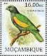 Guadaloupe Amazon Amazona violacea  2012 Extinct birds Sheet