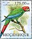 Jamaican Green-and-yellow Macaw Ara erythrocephala