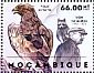 Lesser Spotted Eagle Clanga pomarina  2012 Tadas Ivanauskas Sheet