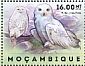 Snowy Owl Bubo scandiacus