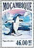 Adelie Penguin Pygoscelis adeliae