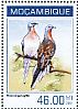 Passenger Pigeon Ectopistes migratorius †  2014 Passenger Pigeon Sheet