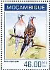 Passenger Pigeon Ectopistes migratorius â€   2014 Passenger Pigeon Sheet