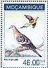 Passenger Pigeon Ectopistes migratorius †  2014 Passenger Pigeon Sheet