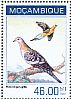 Passenger Pigeon Ectopistes migratorius â€   2014 Passenger Pigeon Sheet