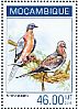 Passenger Pigeon Ectopistes migratorius â€   2014 Passenger Pigeon Sheet