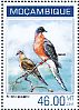 Passenger Pigeon Ectopistes migratorius â€   2014 Passenger Pigeon Sheet