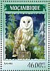 Western Barn Owl Tyto alba  2014 Owls Sheet