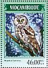 Boreal Owl Aegolius funereus