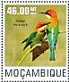 Chestnut-headed Bee-eater Merops leschenaulti