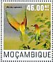 European Bee-eater Merops apiaster  2014 Bee-eaters Sheet