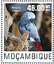 Grey Parrot Psittacus erithacus  2014 Parrots Sheet