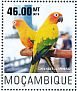 Sun Parakeet Aratinga solstitialis  2014 Parrots Sheet