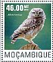 Little Owl Athene noctua  2014 Owls Sheet