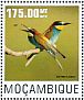 European Bee-eater Merops apiaster  2014 Bee-eaters  MS