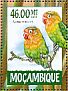 Fischer's Lovebird Agapornis fischeri  2015 Parrots Sheet