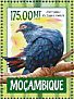 Madagascar Blue Pigeon Alectroenas madagascariensis