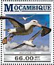 Short-tailed Albatross Phoebastria albatrus  2015 Albatrosses Sheet