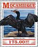 Double-crested Cormorant Nannopterum auritum  2015 Cormorants  MS