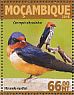 Barn Swallow Hirundo rustica