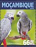 Grey Parrot Psittacus erithacus  2016 Parrots Sheet